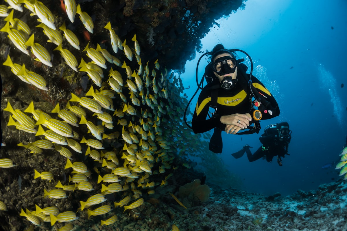 palau_03_coral.jpg