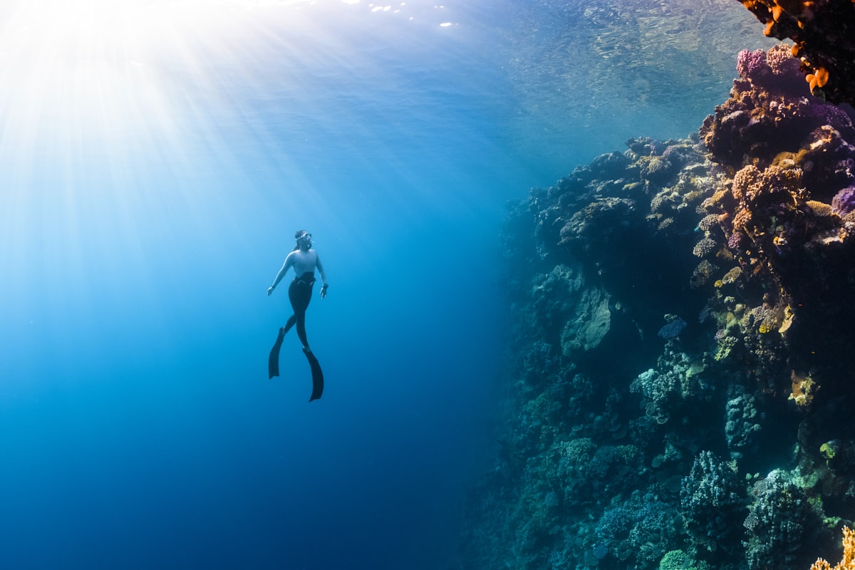 palau_05_diving.jpg